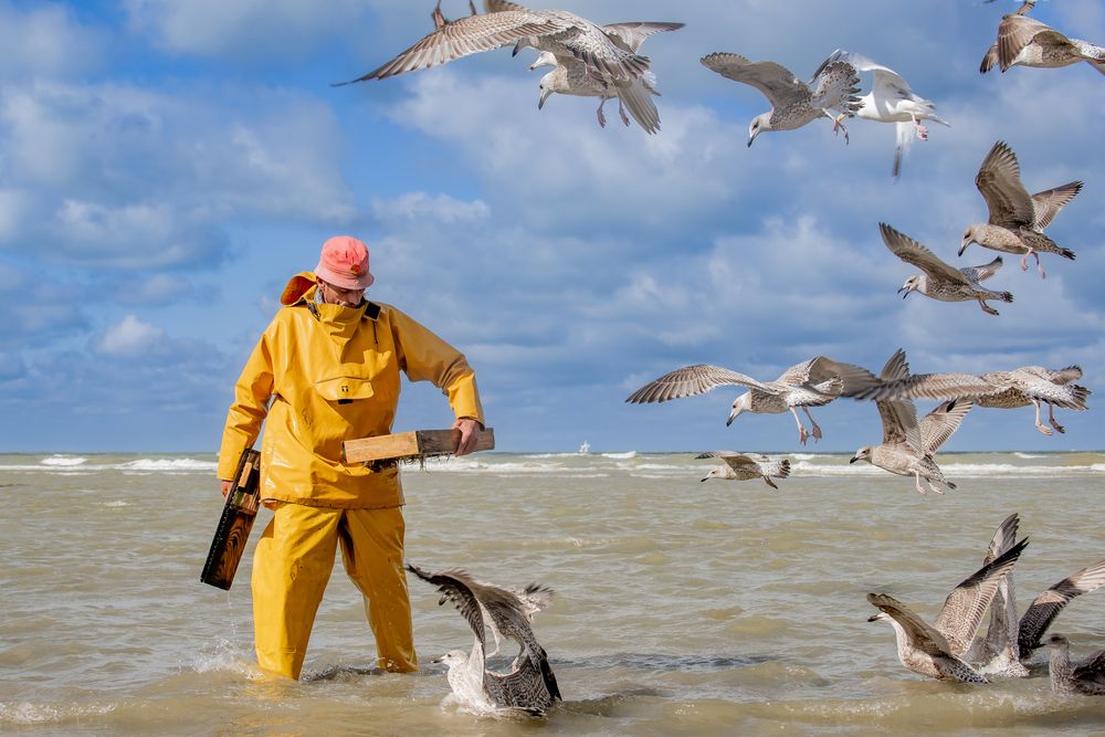 Photograph by eric tkindt