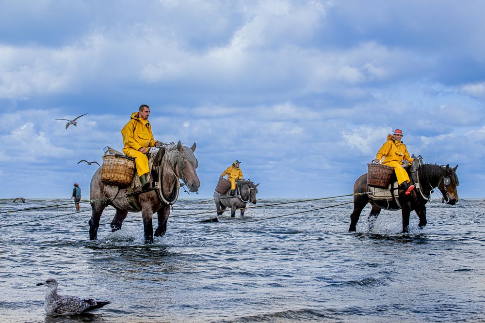 Photograph by eric tkindt