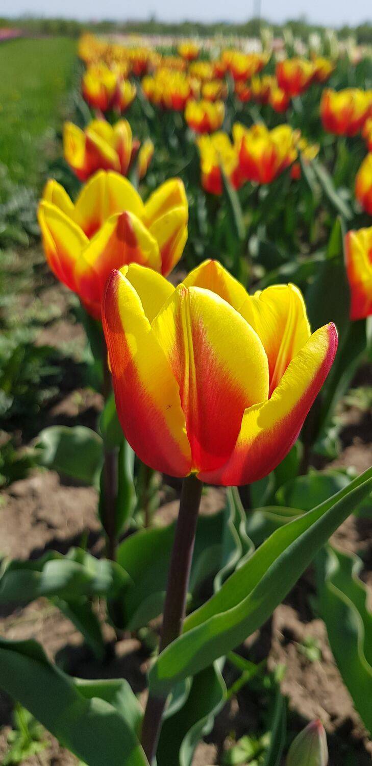 Фотография #13430607