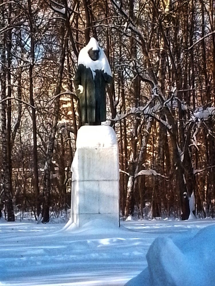 Вождь