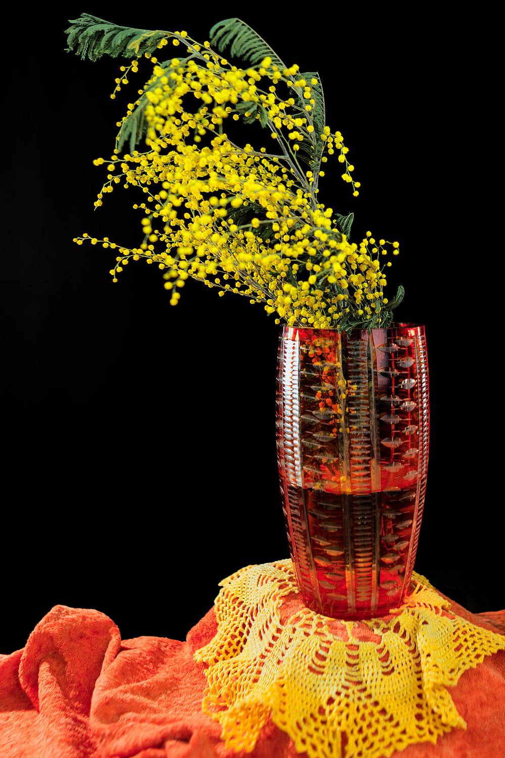 Фотография #13430643