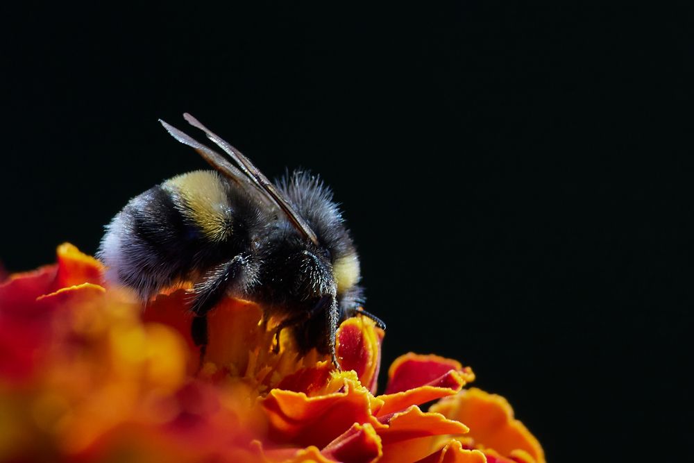 Photograph by Дмитрий Копытин