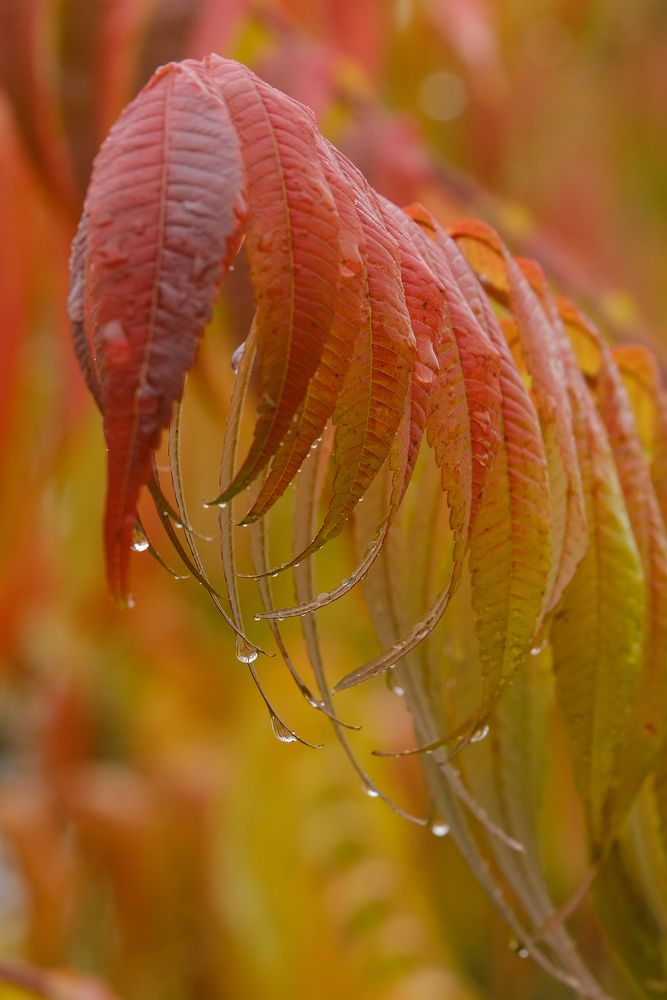 Photograph by Александр Высоцкий