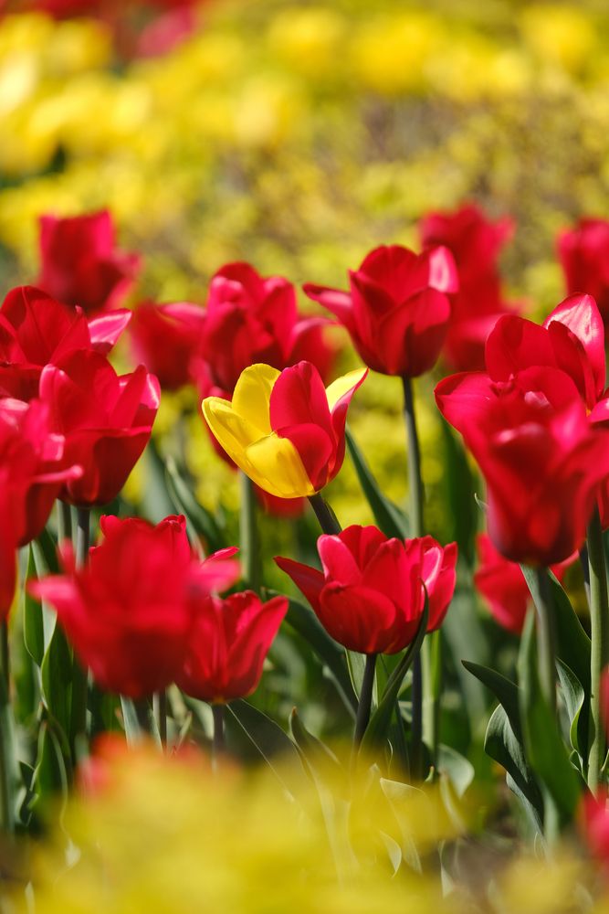 Photograph by Александр Высоцкий