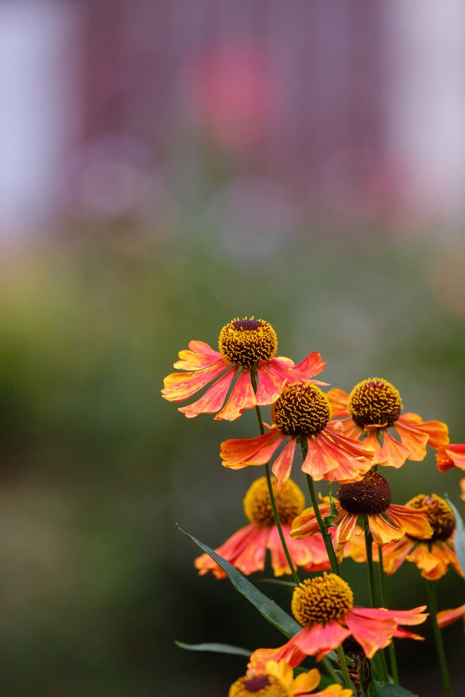 Photograph by Александр Высоцкий