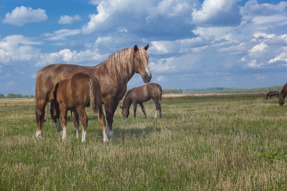 Photograph by Татьяна Клименко