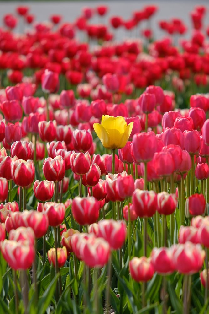 Photograph by Александр Высоцкий