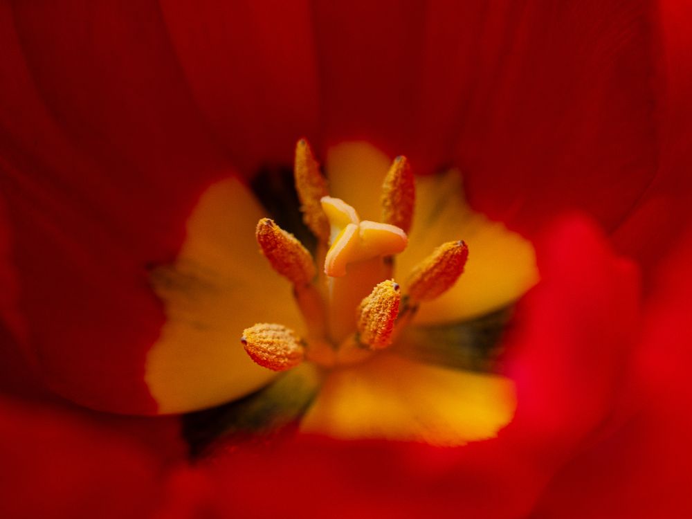 Фотография автора Шейко Анна