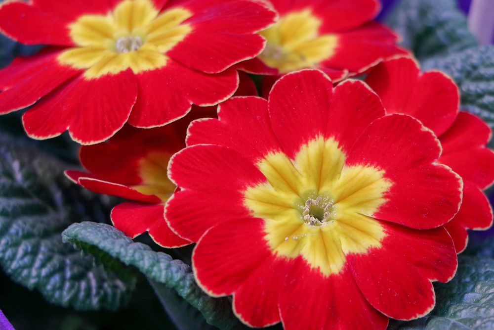 Photograph by Светлана Долотова