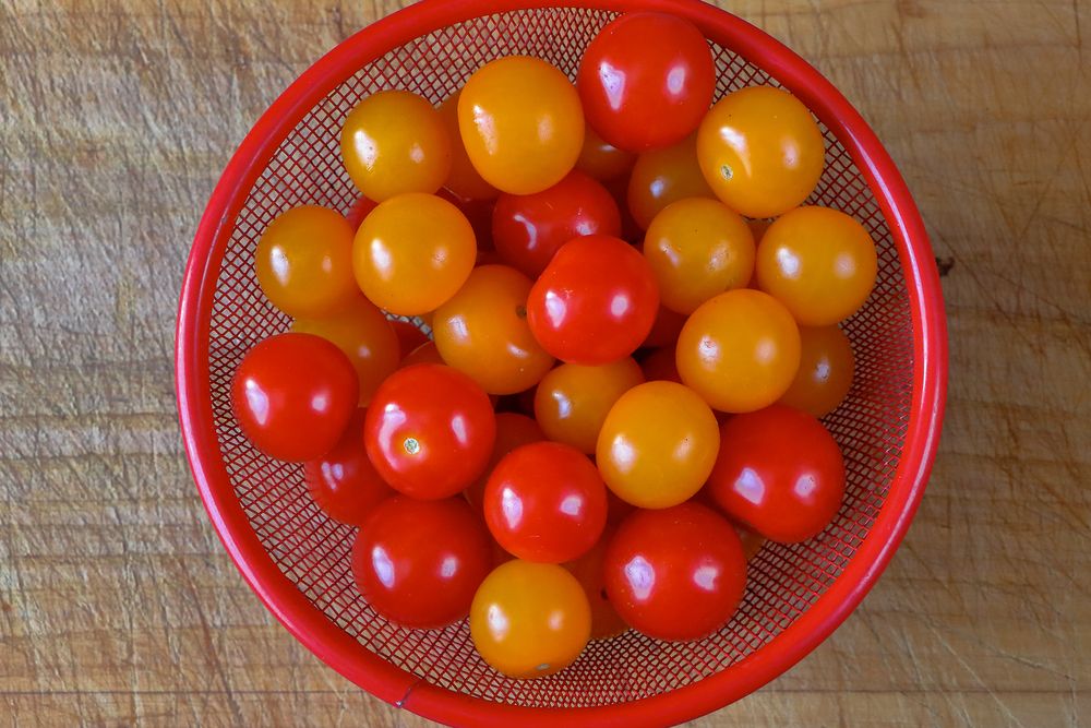 Photograph by Светлана Долотова