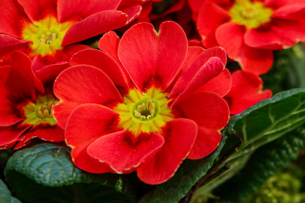 Photograph by Светлана Долотова