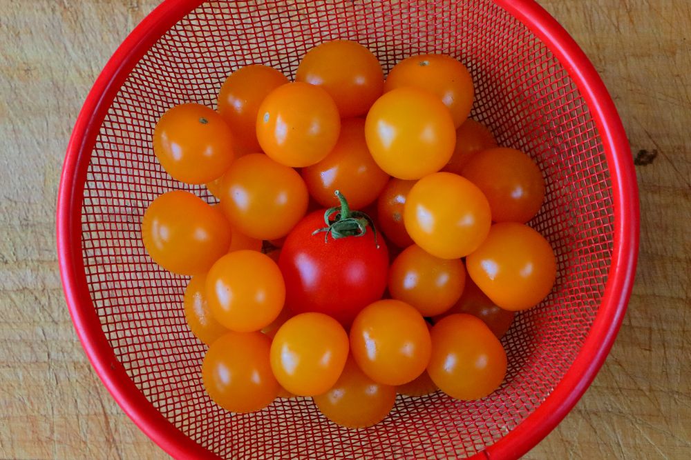 Photograph by Светлана Долотова