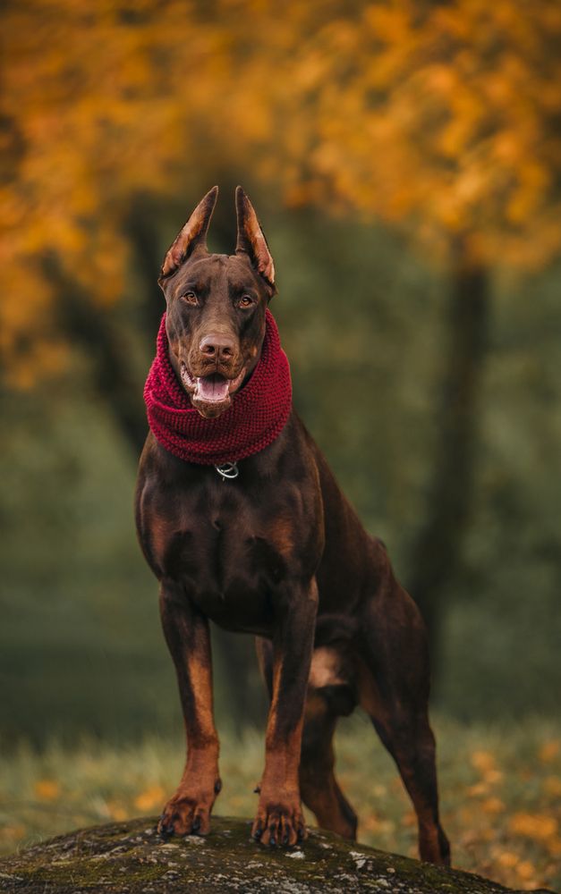 Photograph by Мария Клещенко