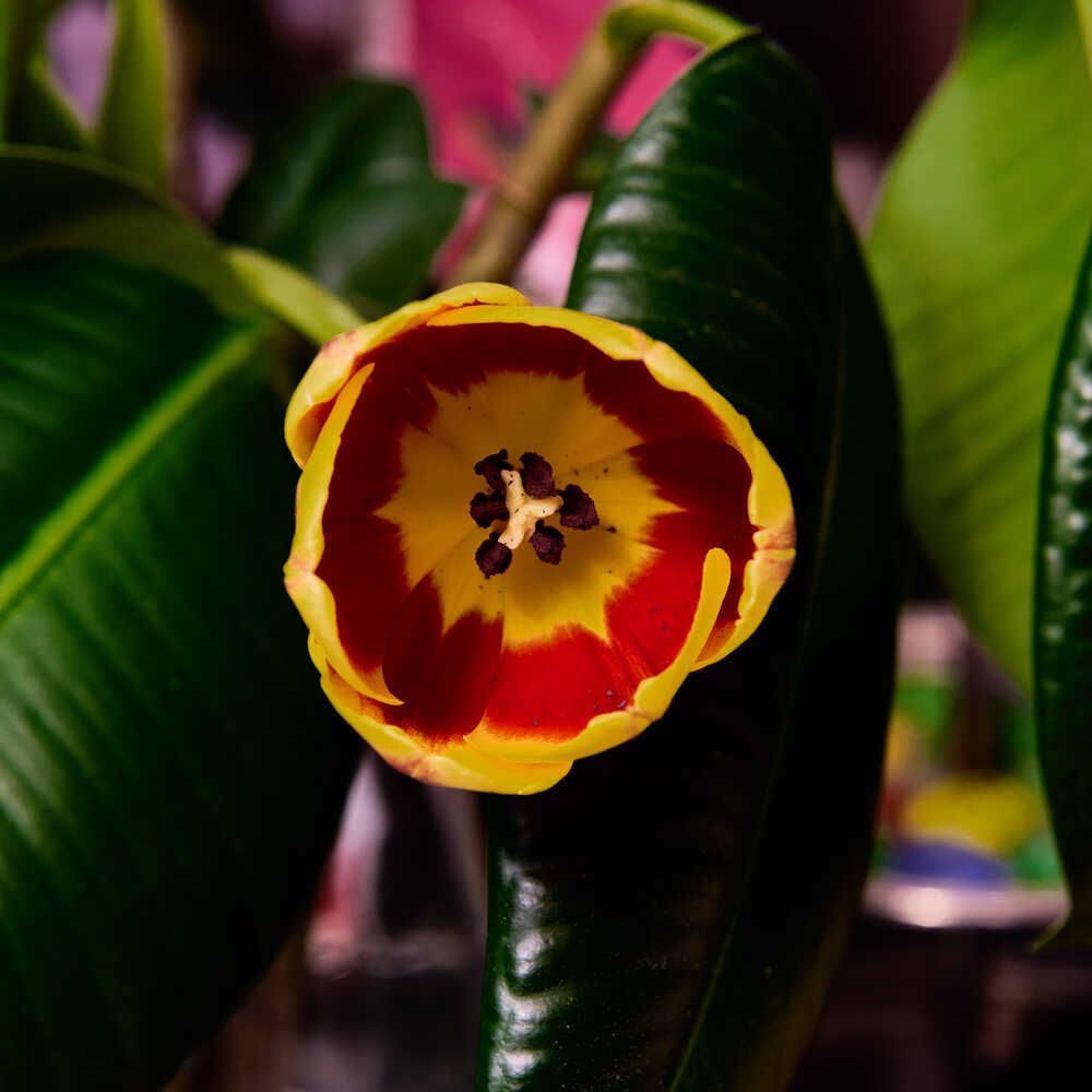 Photograph by Adil Kuandykov