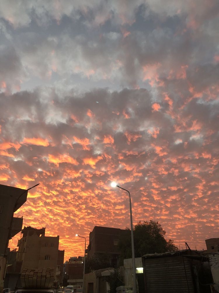 Photograph by Марина Верба