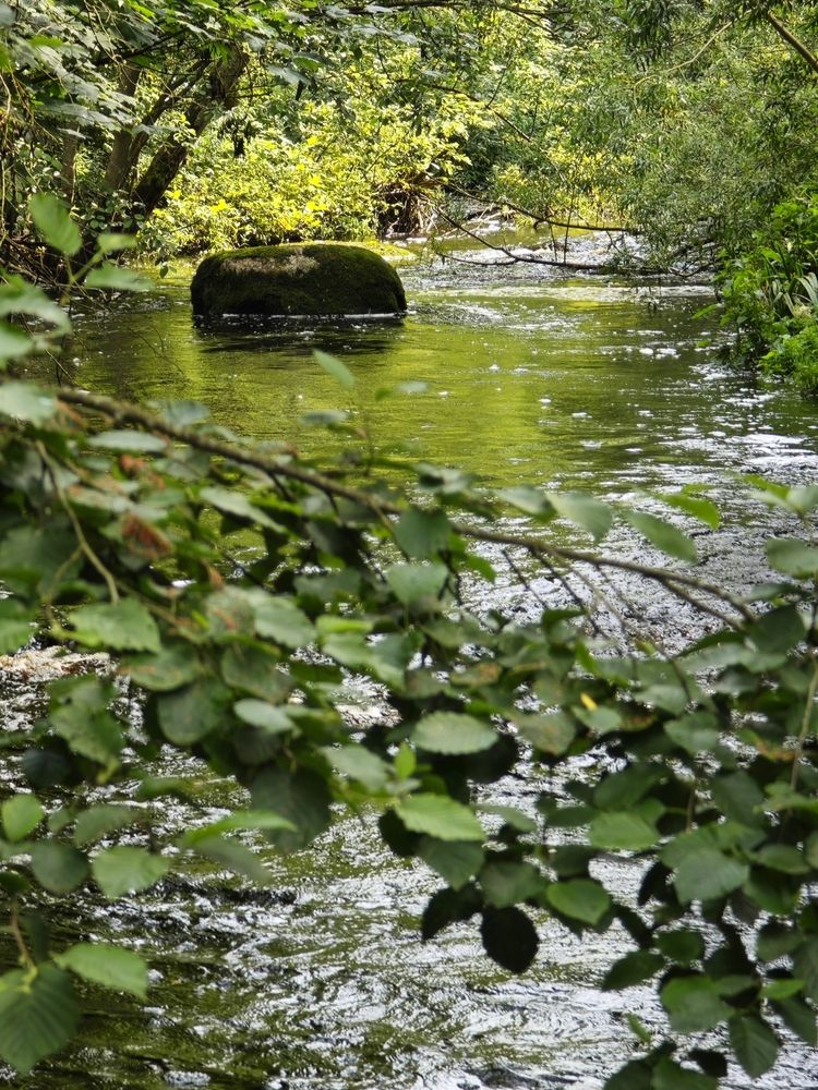 Photograph by Наташа Данилова