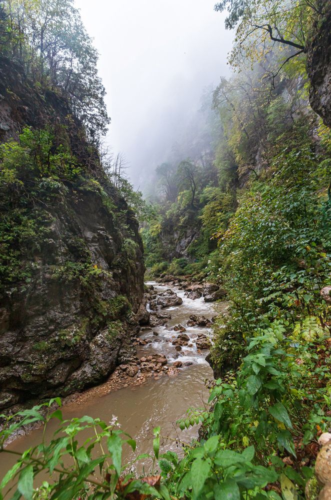 Photograph by Владимир Бочковский