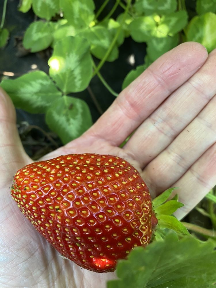 Photograph by Татьяна