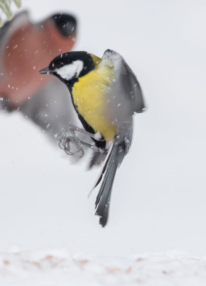 Photograph by Дарья