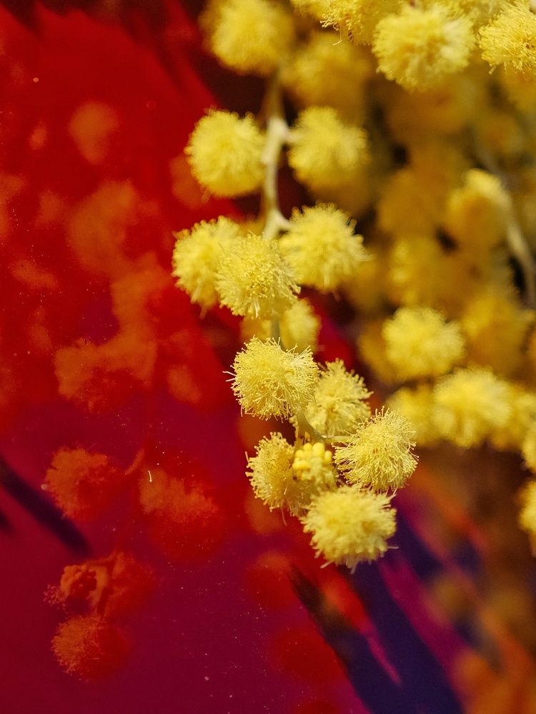 Фотография автора Татьяна Соколовская
