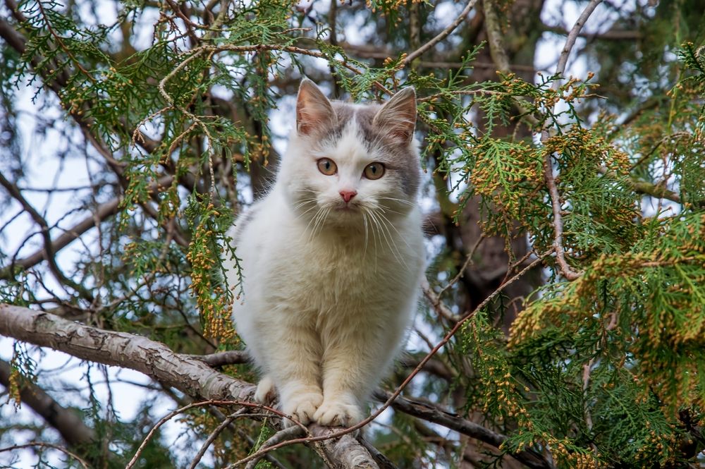 Photograph by Михаил Еремеев