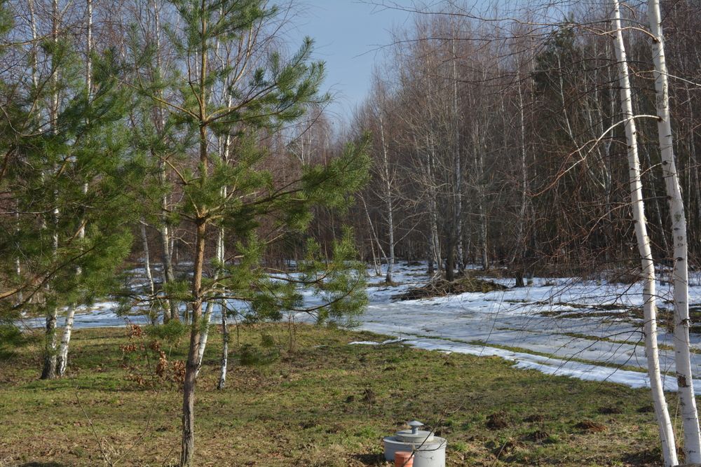 Photograph by Александр Борисович Шкурат