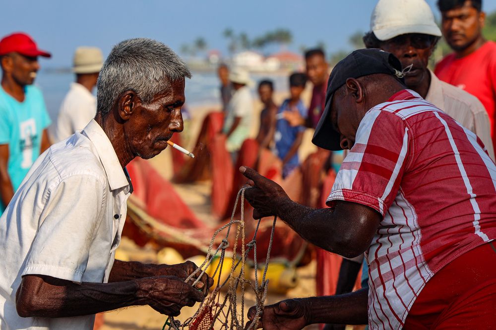 Photograph by Наталья Суслова