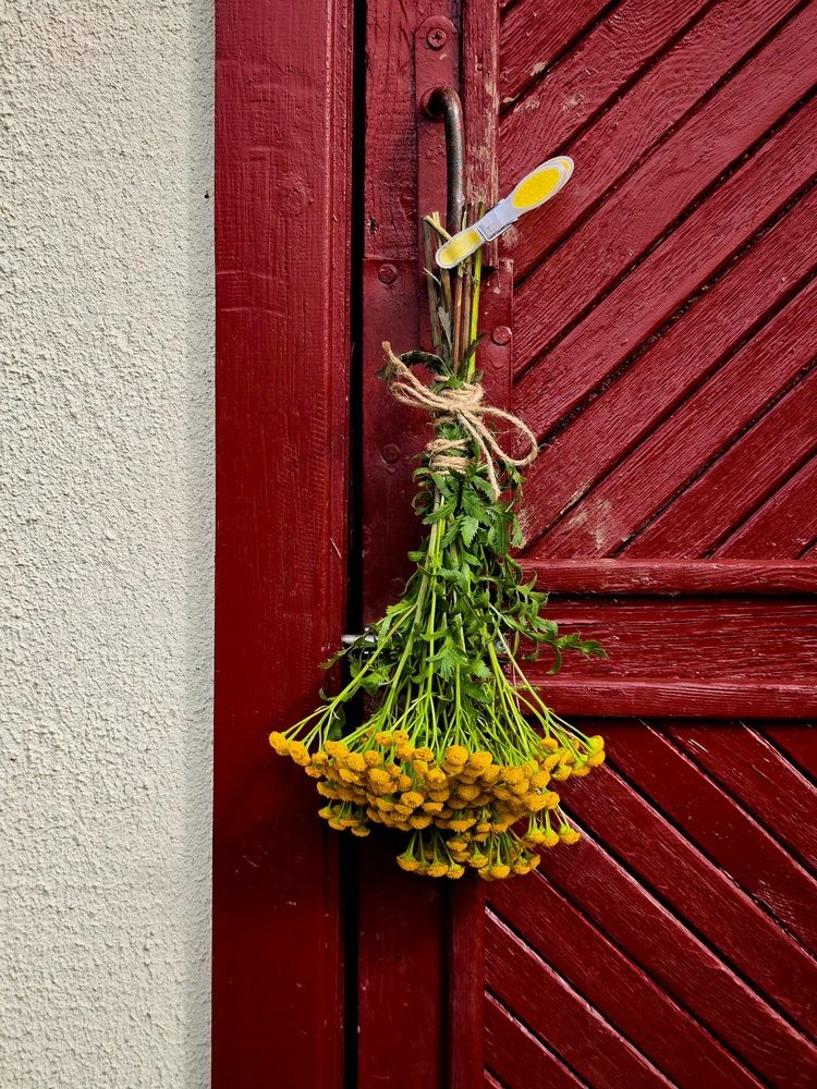 Фотография автора Татьяна Соколовская