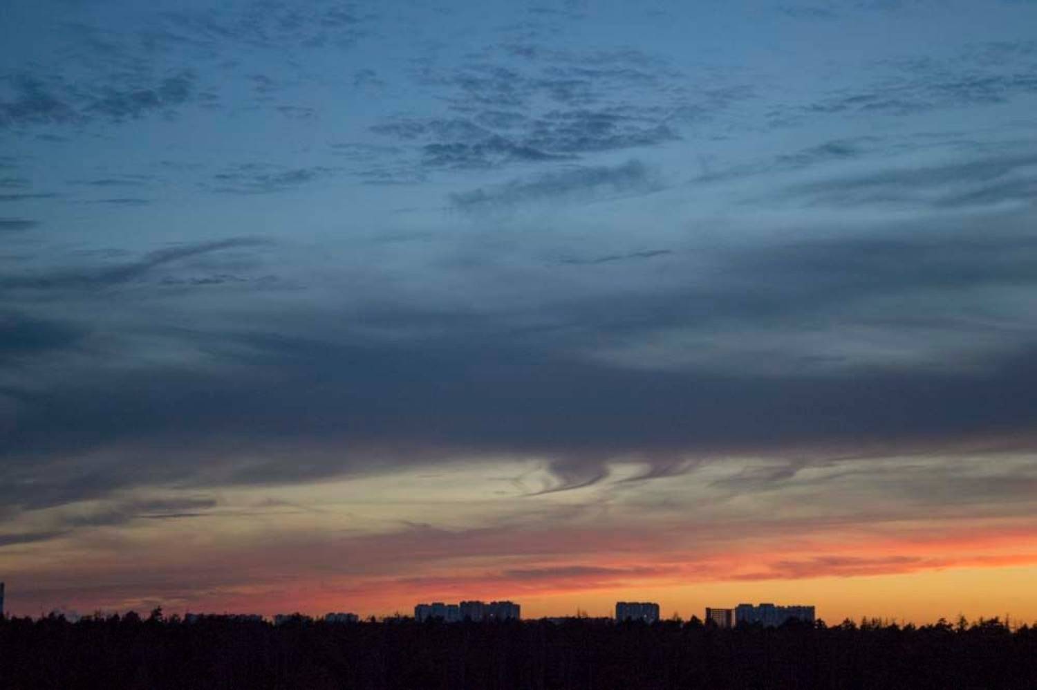 Photo #13431108