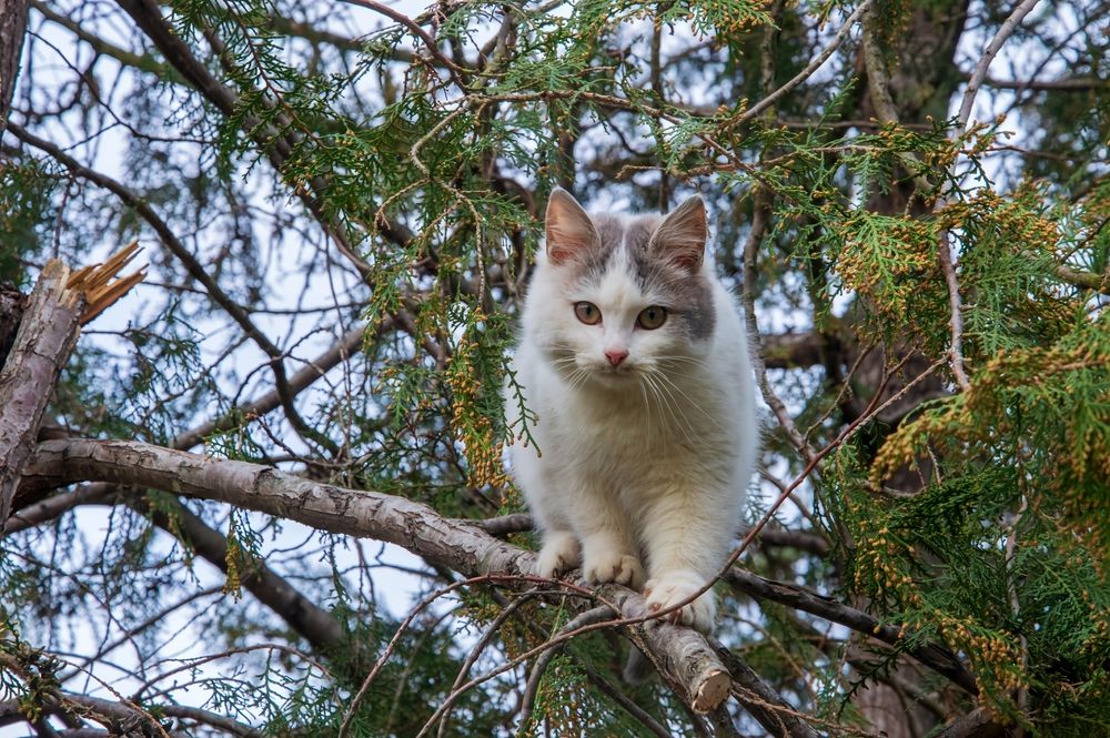 Photograph by Михаил Еремеев