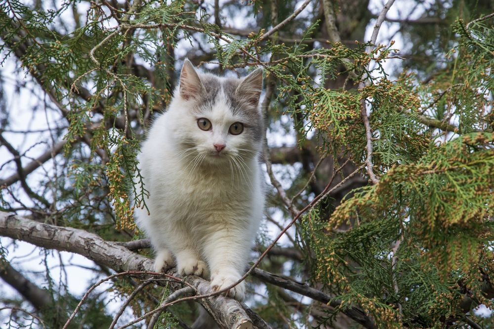 Photograph by Михаил Еремеев