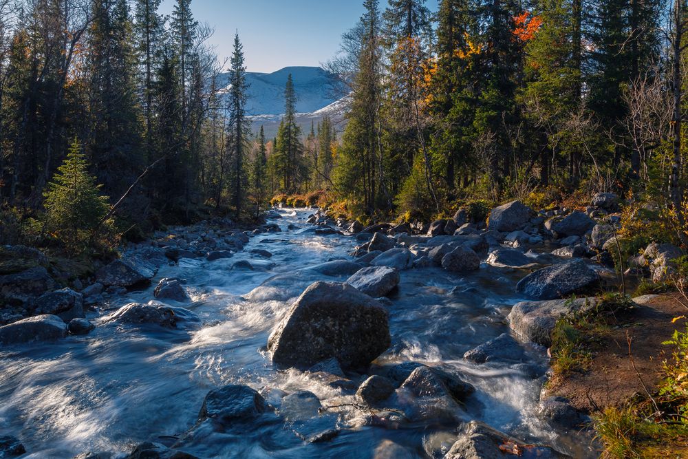 Фотография автора Мария Казакова