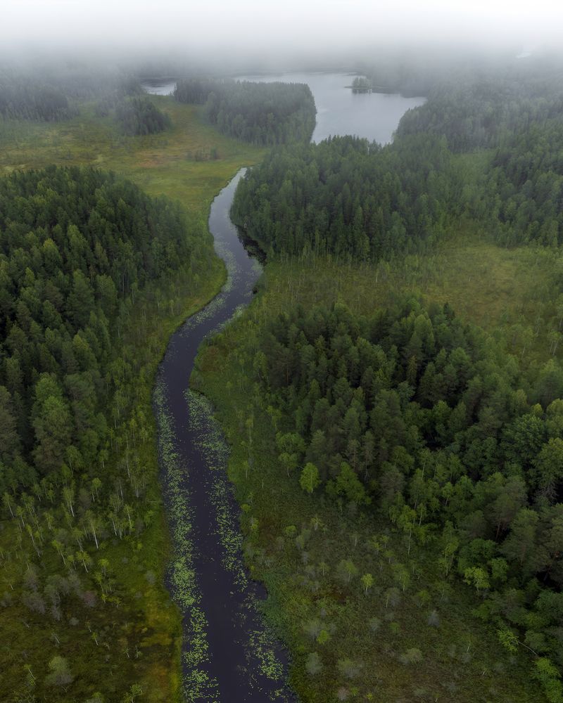 Photograph by Игорь Юркин