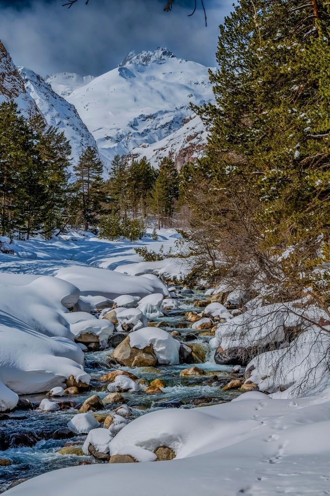 Photograph by Sveta_Poln