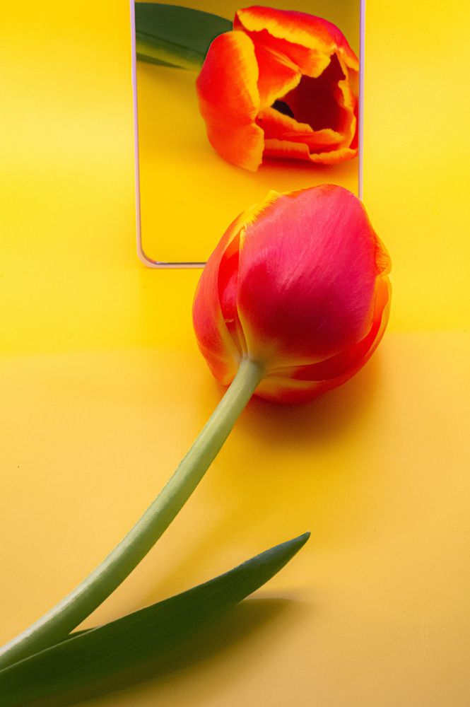 Photograph by Муза Латинская