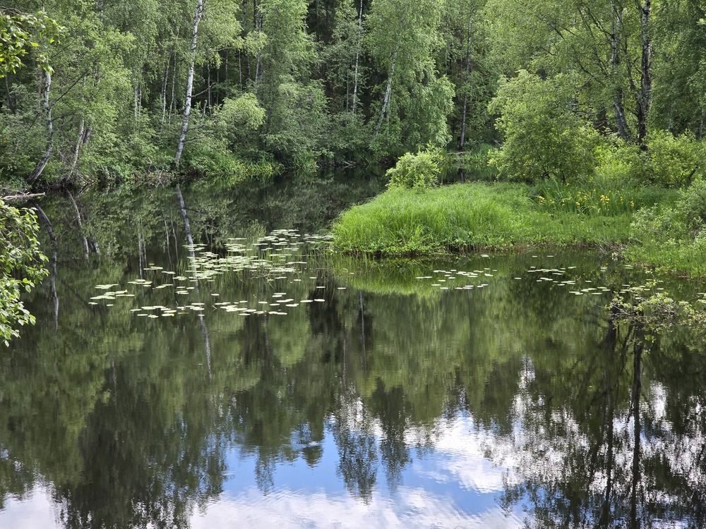 Photograph by Татьяна Дмитриева