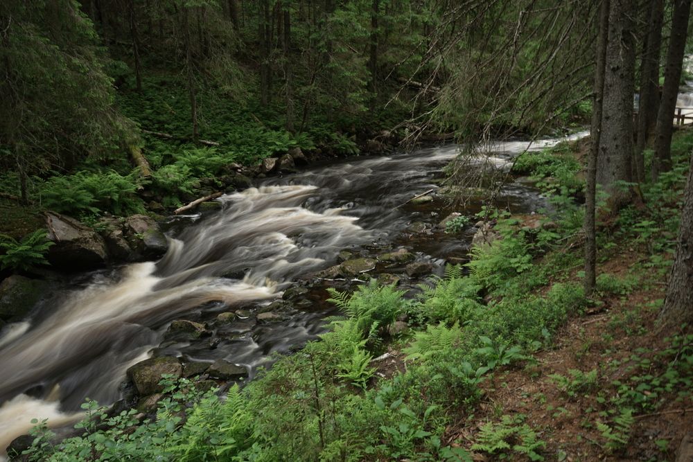 Photograph by Татьяна Дмитриева