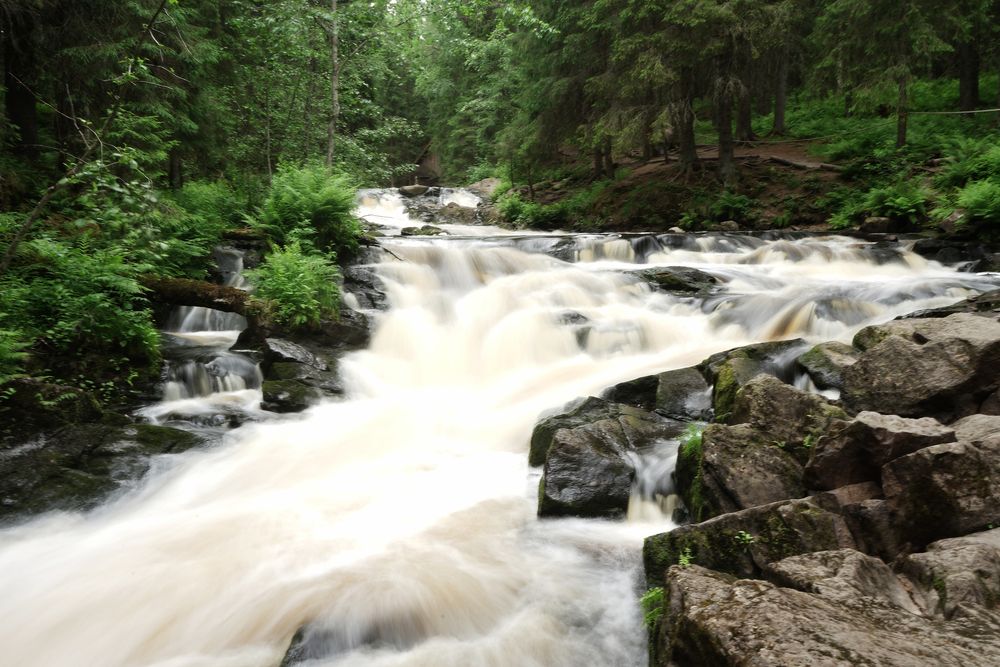 Photograph by Татьяна Дмитриева