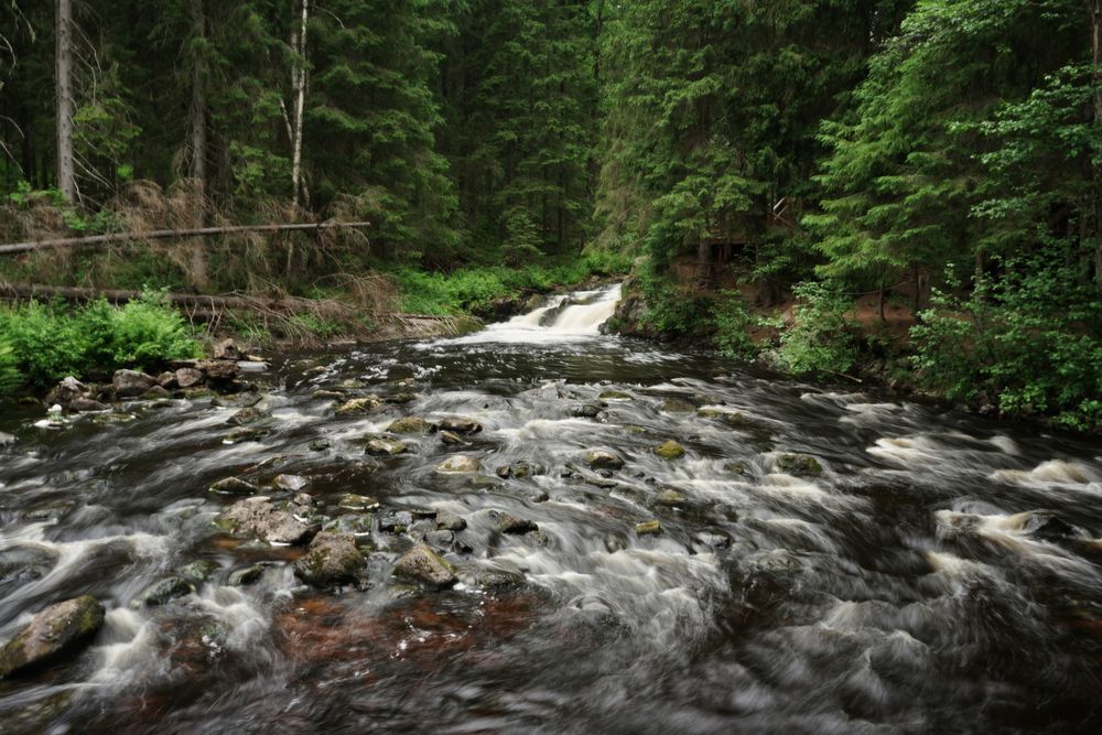 Photograph by Татьяна Дмитриева