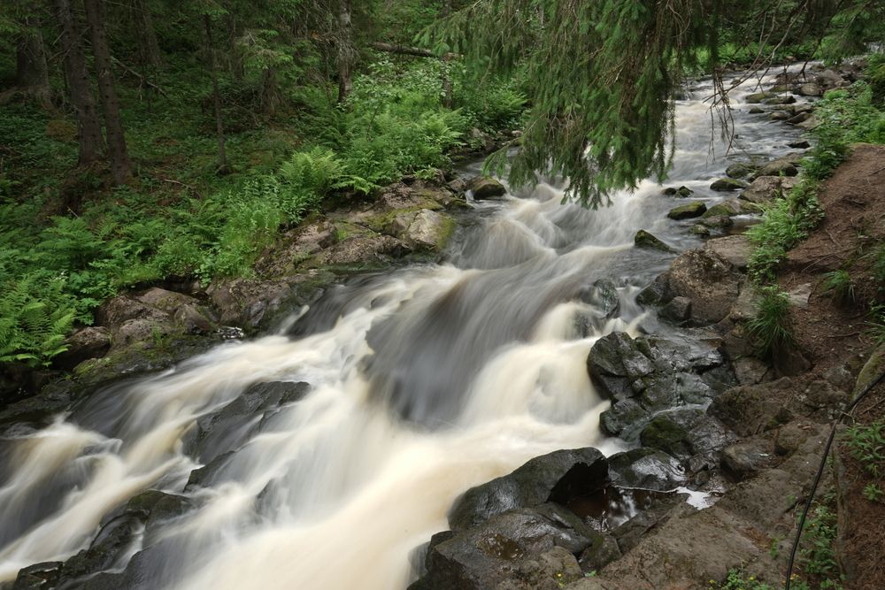 Photograph by Татьяна Дмитриева