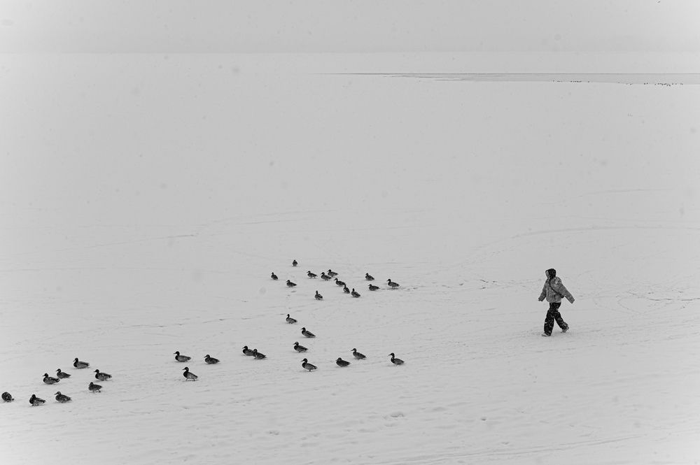 Photograph by Anna Chistiakova