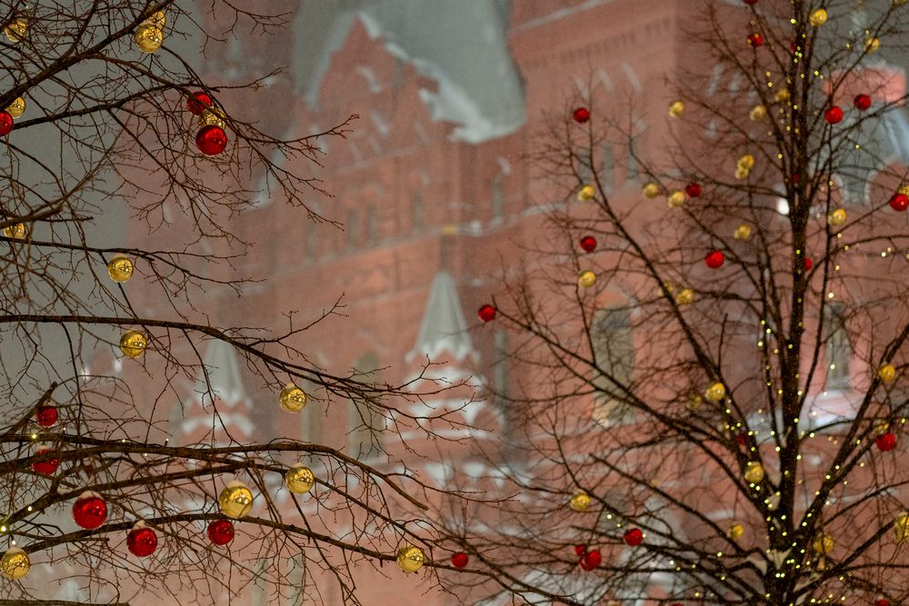 Photograph by Olesya Vladimirova