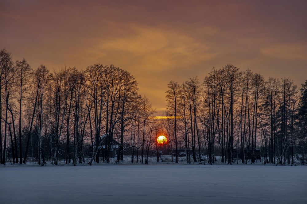 Photograph by АНДРЕЙ АБАКУМОВ
