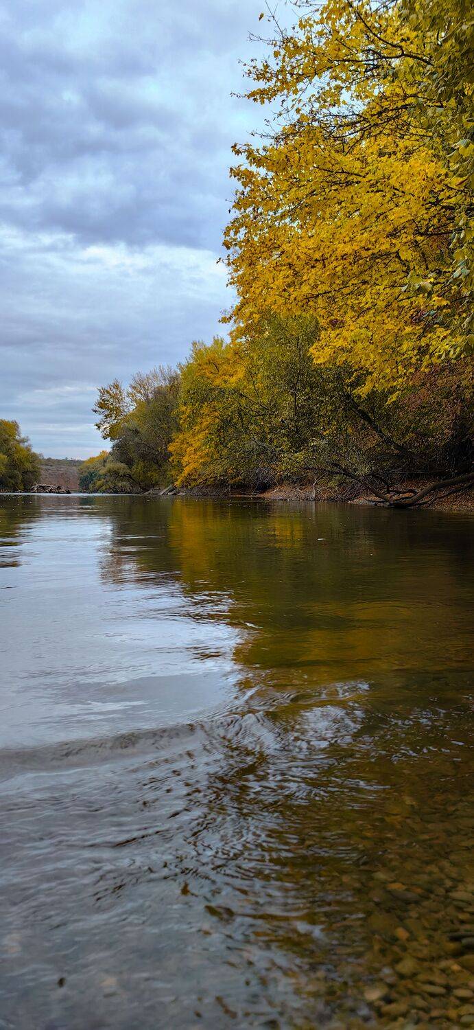 Фотография #13431309