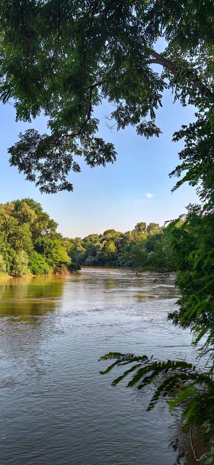 Фотография #13431310