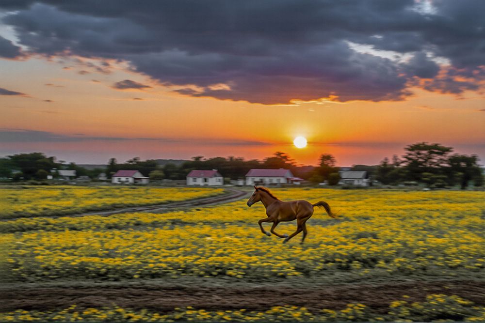Photograph by АНДРЕЙ АБАКУМОВ