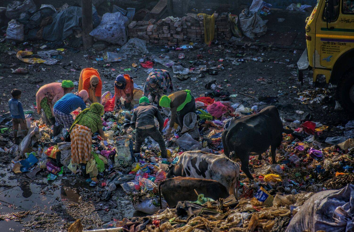 Lives Among the Waste