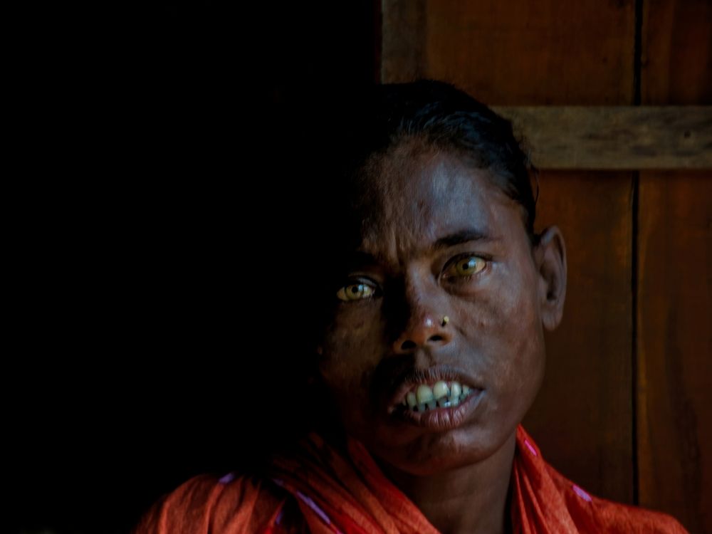 From Dark to Survival