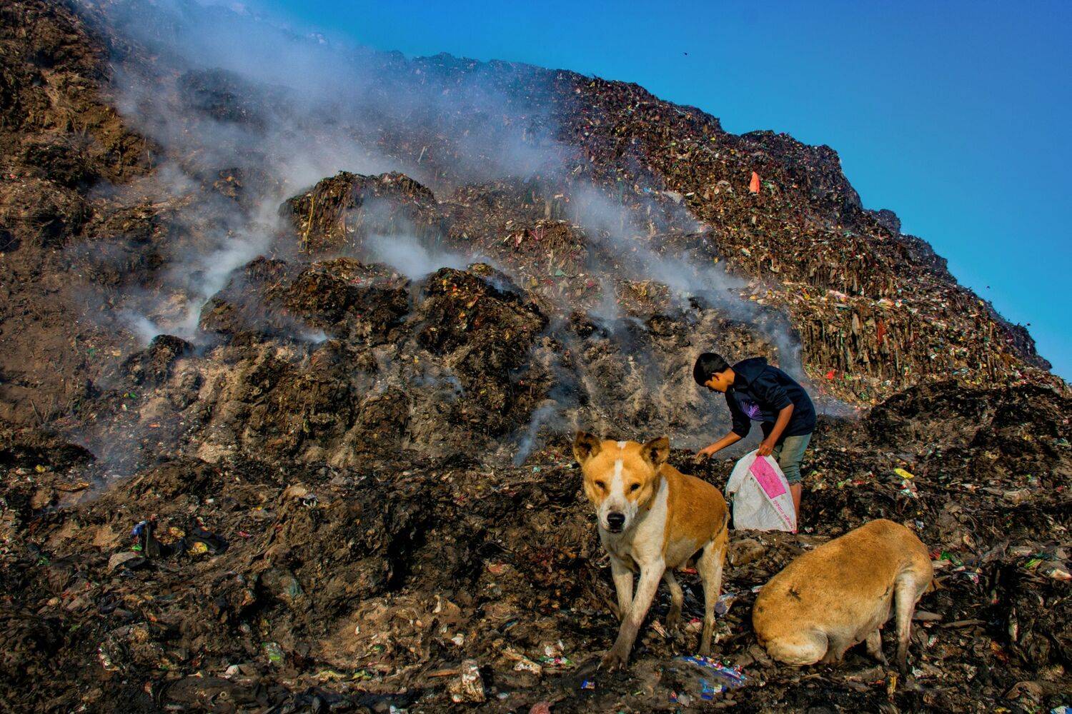 Survival on the Garbage Hills