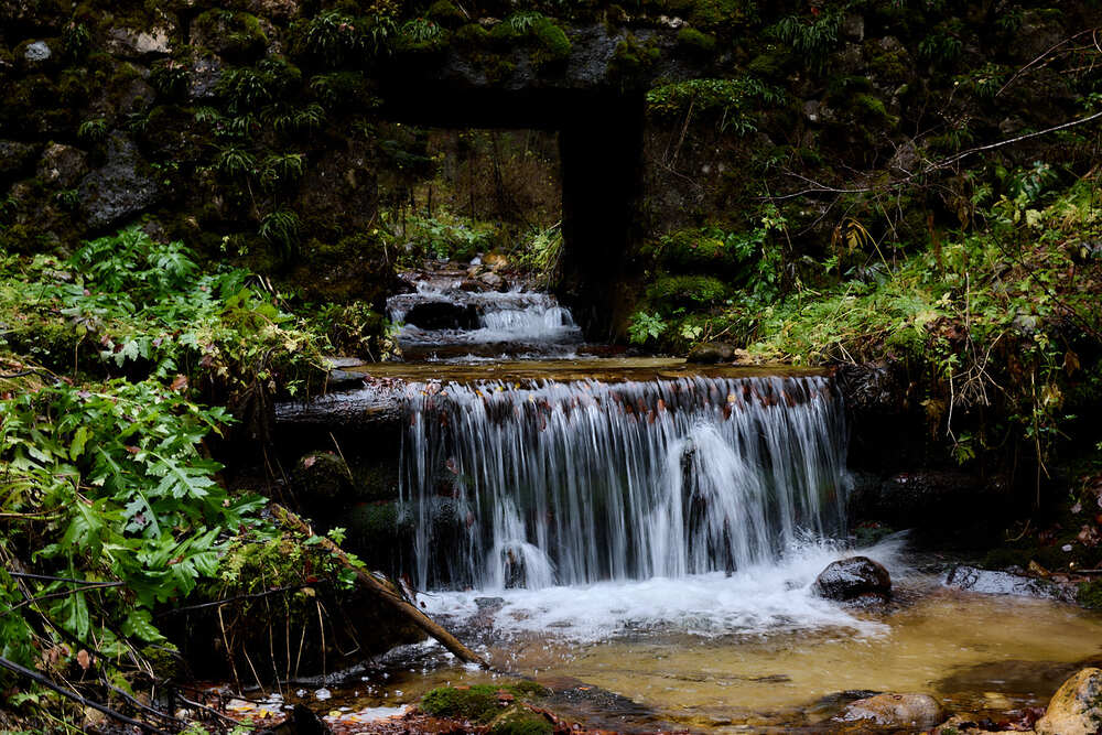 Photograph by Valentin Korotky-Adamenko